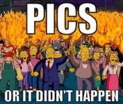 696548d1335890314-new-member-italy-joining-simpson-pics-didnt-happen.jpg