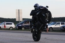 IMG_7880.jpg