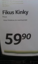 IMAG0426.jpg