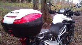 Tiger800_TB.jpg