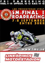 LMS finalen.jpg