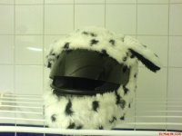 Small_Fuzzhat.JPG