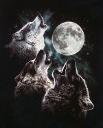 3wolfmoon_7785.jpg