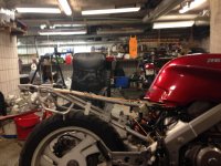 IMG_1351.jpg