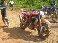 r1.jpg