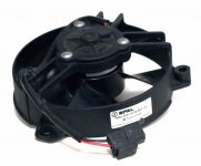 fan 010.jpg