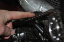 DSC_0953.jpg