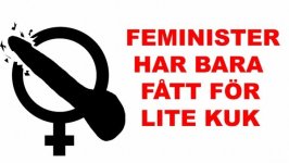 feminister.jpg