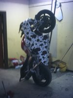 PHTO0010.JPG