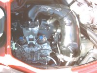 DSCW0047 (Medium).JPG