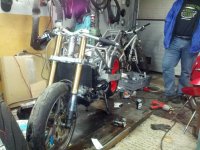 IMG_20131119_193024.jpg