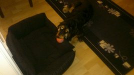 DSC_0184.jpg DSC_0184.jpg