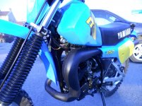 IT 250 011.jpg