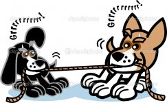 tugawar.jpg tugawar.jpg