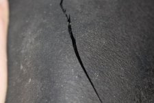 IMG_3946_s.jpg