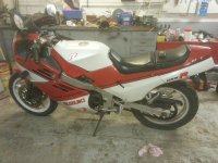 1964218_10152914971076029_58621910_n.jpg 1964218_10152914971076029_58621910_n.jpg