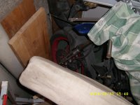 SL273800.jpg