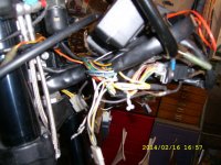 SL273744.jpg