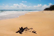 majorda-beach.jpg