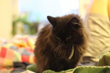 IMG_0022.jpg
