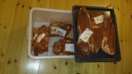 DSC_1489 - Kopia.jpg DSC_1489 - Kopia.jpg