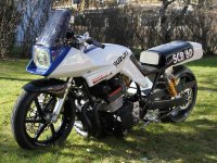 IMG_6588_mini.jpg