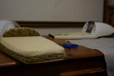 DSC03064.jpg