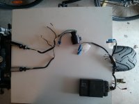 hoj blinkers 1.jpg