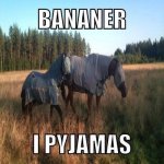 bananer.jpg