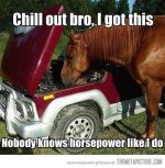 funny-horse-fixing-car.jpg