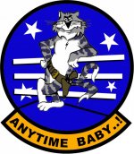 f_14_tomcat_anytime_baby_flight_insignia_by_viperaviator-d6ta9kx.jpg