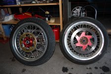 IMG_8587.JPG