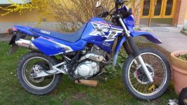 XT600.jpg