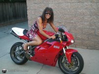 ducati.jpg