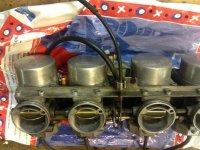 IMG_1800[1].jpg