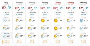 Vårsol_1.jpg
