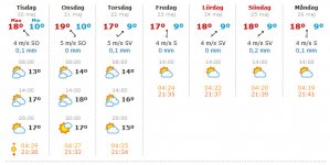 Vårsol_2.jpg