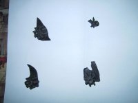 IMG_2009.JPG