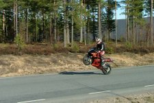 tankwheelie2.jpg