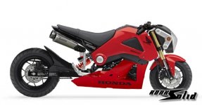 Honda-Grom_zps70e42fd3.jpg
