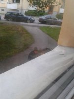 20140708_040312webb.jpg