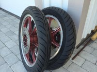 IMG_1126.jpg