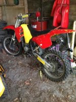 IMG_1093.jpg IMG_1093.jpg