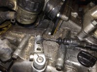 IMG_1095.JPG IMG_1095.JPG