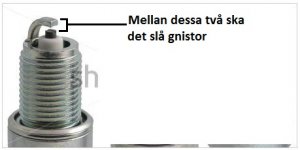 gnista 2.jpg