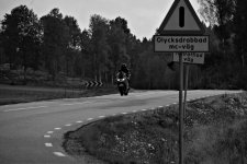 DSC09923a.jpg