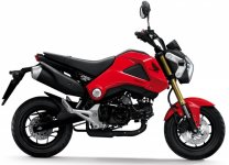 Honda-MSX-125-News-1.jpg