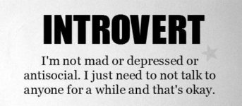 introvert1.jpg