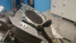 DSC_0205.JPG
