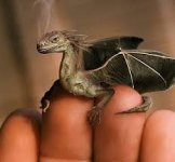 dragon.jpg